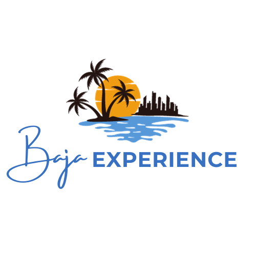 Baja Experience
